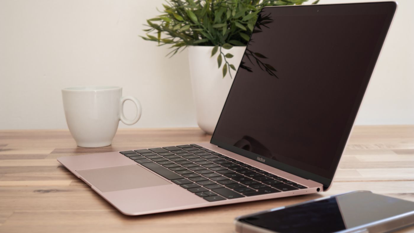 Minimalist workspace with laptop and plant